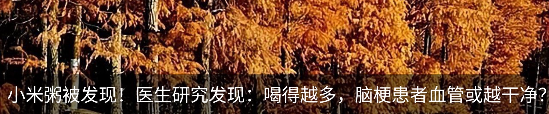 热点资讯